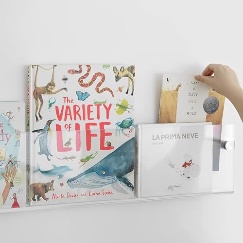 ROYALITA 2-Pack Acrylic Magazine Holder Brochure Holder, 17" Record Holder Magazine Rack, Fashion Hanging Bookshelf Literature Storage Rack for Waiting Room, Living Room, Office, Clear 17 Inch - color: Clear, size: 17 Inch