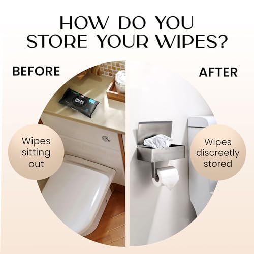 Day Moon™ - Toilet Paper Holder with Shelf - Modern Roll Holder for Bathroom - 1 Pack - Wall Mount - with Storage, Brushed Nickel - color: Brushed Nickel, size: Storage 1 Pack
