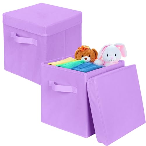 ShellKingdom Storage Bins, Foldable Fabric Storage Cubes with Lid, Clothes Storage Organizer Drawer For Closet Toys Storage, 10.5 X 10.5 X 11 INCH, 2 Pack (Lavender) - color: Lavender, size: 11 inch (2 Pack)