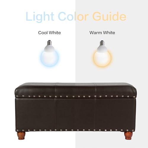 HomePop Espresso Faux Leather Storage Cocktail Bench with Nailhead Trim - color: Espresso Brown