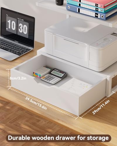 IBUYKE 2 Tier Desktop Printer Stand,Printer Table with Storage Shelf,Multi-Purpose Desk Organizer for Folders,Books,for Fax Machine, Scanner,Home Office,White TLJ015W - color: White