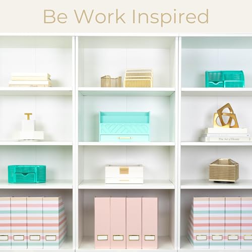 BLU MONACO | Cardboard Magazine File Holder Set of 4 | Vertical Magazine File Holder with Gold Label Slots | Standing File Holder and Cardboard Bins for Shelves Desk Classroom - color: Pastel Stripes