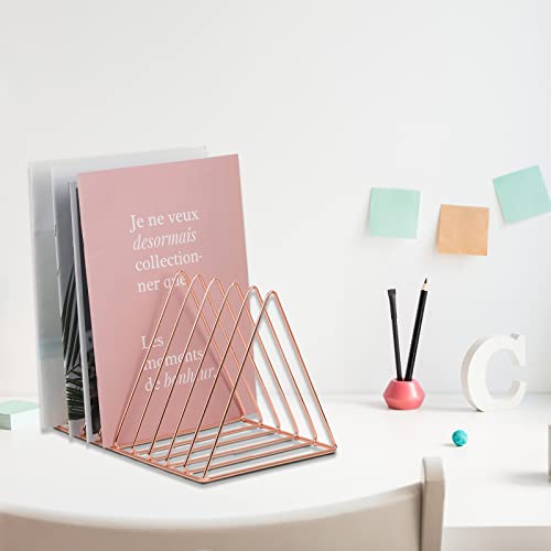 EASEPRES Rose Gold Magazine Holder, Desktop File Sorter Organizer Triangle 9 Slot Newspaper Record Storage Shelf Rack for Home Office Decoration - color: Rose Gold