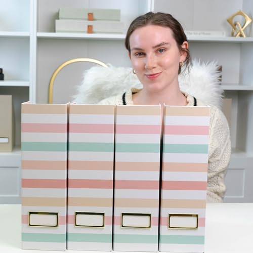 BLU MONACO | Cardboard Magazine File Holder Set of 4 | Vertical Magazine File Holder with Gold Label Slots | Standing File Holder and Cardboard Bins for Shelves Desk Classroom - color: Pastel Stripes