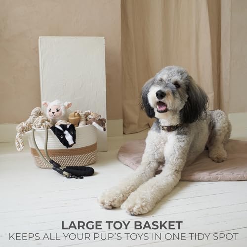 Stylish Cotton Rope Storage Basket For Dog Toys, Magazines or Books - The Perfect Woven Bin with Handles For Everyday Organization Reduces Clutter in Your Rooms - A Decorative Gift & Storage Box - color: Cream-Brown