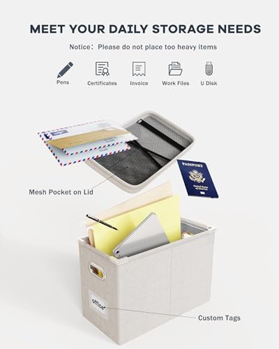 Oterri File Organizer Box with Lid, Hanging Filing File Box with Mesh Pocket, Document Organizer Box for Letter Files, Portable Storage Box with Smooth Sliding Rail for Office&Home (1 PCS, Beige) - color: Beige, size: 1 PCS