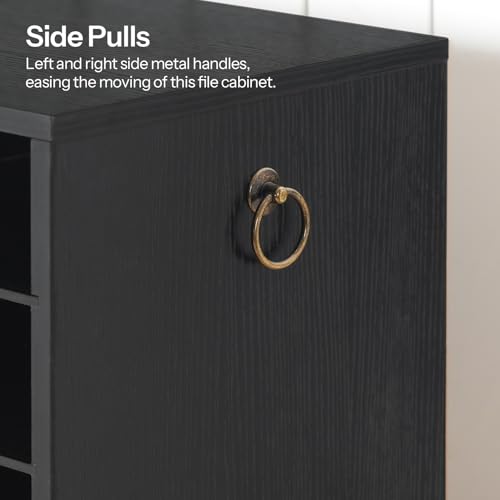 HOOBRO Countertop Mail Sorter, Wooden Literature Organizer, Student Mailbox for Classroom, Desktop Organizer for Office Home School, 12 Compartments Black BK43WF01 - color: Black