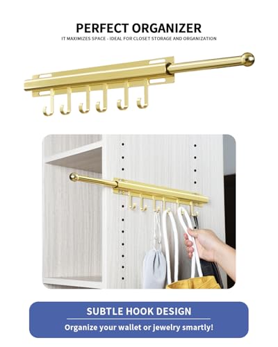 BaiNong 16.5 inch Valet Rod for Closets Pull Out Closet Valet Rod Slide Out Extra long Gold Valet Rods for Closets With 6 Hooks - color: Gold, size: 16.5 Inch