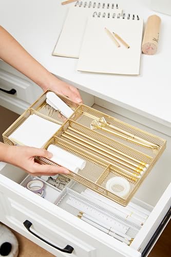 Annova Desk Drawer Organizer Tray for Office Organization - Metal Mesh - Storage Tray with Dividers for Pens, Desktop Accessories, Bathroom, Kitchen, Makeup and Office Supplies (Small, Gold) - color: Gold, size: Small