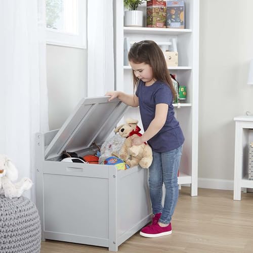 Melissa & Doug Toy Chest, Wooden Toy Storage Box with Safety-Hinged Lid, Kids Toys Storage Organizer for Playroom, Bedroom, & Montessori Classroom Furniture for Boys & Girls Ages 3+, Gray - color: Grey