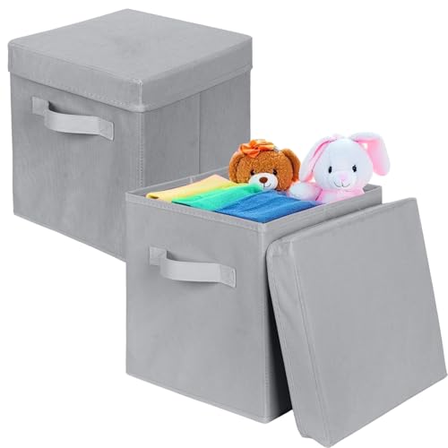 ShellKingdom Storage Bins, Foldable Fabric Storage Cubes with Lid, Clothes Storage Organizer Drawer For Closet Toys Storage, 10.5 X 10.5 X 11 INCH, 2 Pack (Grey) - color: Grey, size: 11 inch (2 Pack)