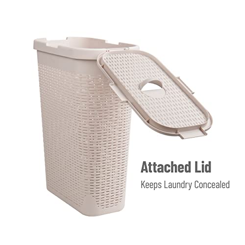Mind Reader Slim Laundry Hamper with Lid, 40L Clothes Basket, Narrow Tapered Design with Ventilated Cutout Pattern, Plastic, Ivory - color: Ivory, size: Single