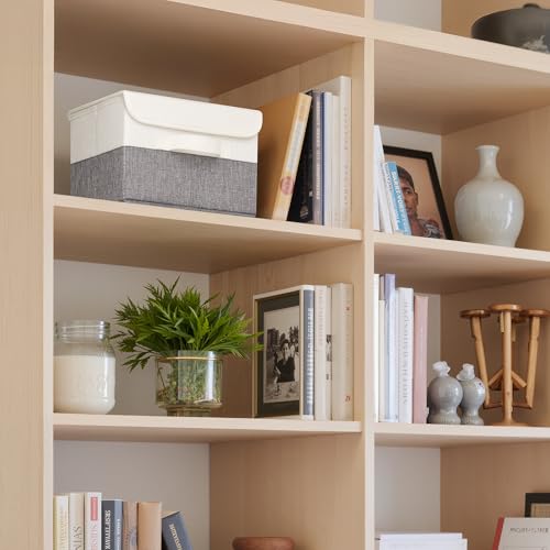 GRANNY SAYS Small Storage Bins with Lids, Small Storage Boxes, Shelf Baskets for Shelf, Collapsible Storage Bins for Living Room, Bedroom, 10x8x7 Inch, White/Gray, 2-Pack - color: White/Gray, size: Small-2 Pack