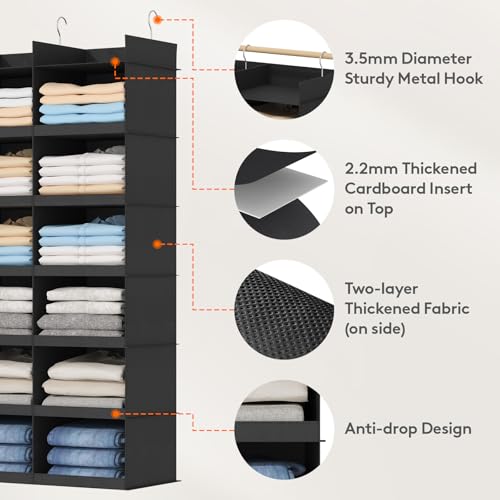Lifewit Dual-Row Shelf Hanging Closet Organizer and Storage, Clothes Shelves with 3 Sturdy Hooks for Clothing Organization, Foldable Container Hold Up to 36 Sweaters, 6 Tier 12 Sections, Black - color: Black, size: 6-Tier