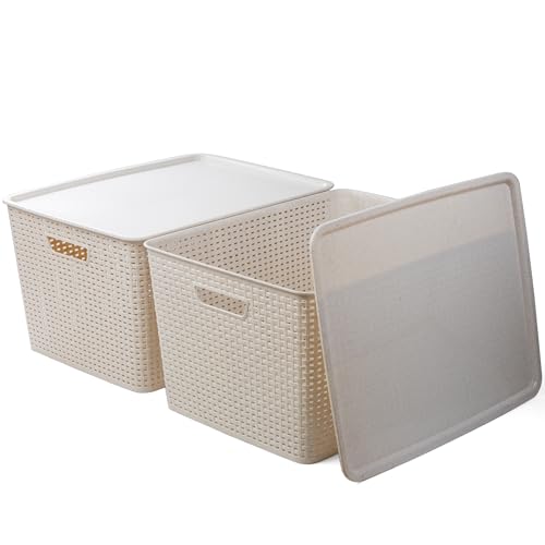 BINO | Plastic Storage Baskets with Lids, 45 Liter - 3 Pack, Natural | THE WOVEN COLLECTION | Storage Basket for Shelves | Woven Storage Baskets for Organizing Bins | Pantry Shelf Organizer Bin - color: Natural, size: 45L | 2-Pack