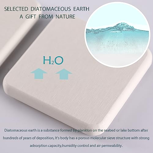 NiuYichee 2 Pcs Water Absorbing Stone Trays, Kitchen/Bathroom Sink Soap Dish, Diatomite Tray Used for Hand Soap & Cosmetic Bottles in The Modern Home, 3.15" W x 6.3" L, White - color: White, size: 6.3" x 3.15"