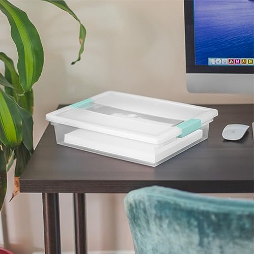 Sterilite Clip Box, Stackable Small Storage Bin with Latching Lid, Plastic Container to Organize Office, Crafts, Clear Base and Lid, Large, 1-Pack - size: Large, style: 1 Pack