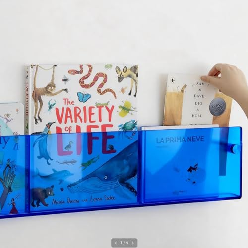 ROYALITA 2-Pack Acrylic Magazine Holder Brochure Holder, 36" Record Holder Magazine Rack, Fashion Hanging Bookshelf Literature Storage Rack for Waiting Room, Living Room, Office - color: Blue, size: 36 Inch
