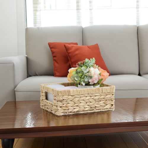 Wicker Baskets, Baskets for Organizing, Rattan Woven Basket for Storage, Organizer Bins with Built-in Handles, Storage Basket for Shelves (Water Hyacinth, Small) - color: Water Hyacinth