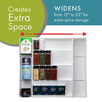 Dial Industries Expandable Kitchen Drawer Spice and Season Jar Organizer Tray - size: Standard Spice Organizer