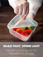 LivLab Mker 20 PCS Food Storage Containers with Lids - Reusable Meal Prep Containers Bpa-Free Freezer Lunch Boxes for Leftovers, Snack, Fruits, Salad - 10Sets | 20 fl oz | 2.5 Cups - size: 10-Pack-17 floz