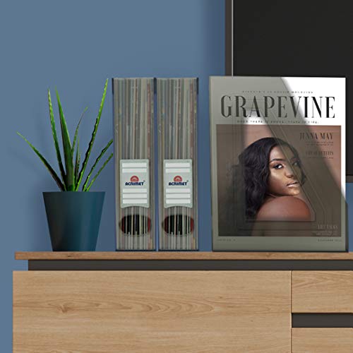 Acrimet Magazine File Holder Bin Storage, Vertical Rack for Documents, Folders and Mail, Durable Plastic Desk Organizer for Office & Home (Clear Gray Color) (2 Pack) - color: Clear Gray