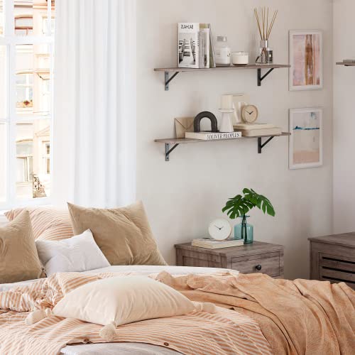 DINZI LVJ Wall Shelves, 23.6 x 7.9 x 6.1 Inch Floating Shelves for Wall, Set of 2, Easy-to-Install Wall Storage Ledges with Sturdy Metal Brackets for Living Room, Bathroom, Kitchen, Greige - color: Greige, size: 23.6 Inch