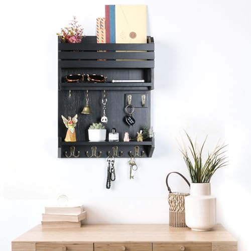 Key Holder, Wall Mounted Mail Organizer, Keys Holder on Wall with 9 Key Hooks, Black - color: Black
