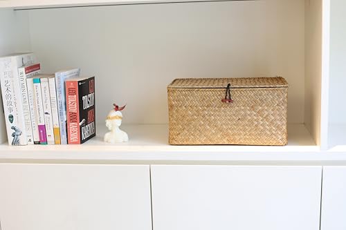DOKOT Rectangular Handwoven Seagrass Storage Basket with Lid for Shelves and Home Organizer Bin, (M (12"x7"x6"H), Natural) - size: M (12"x7"x6"H)