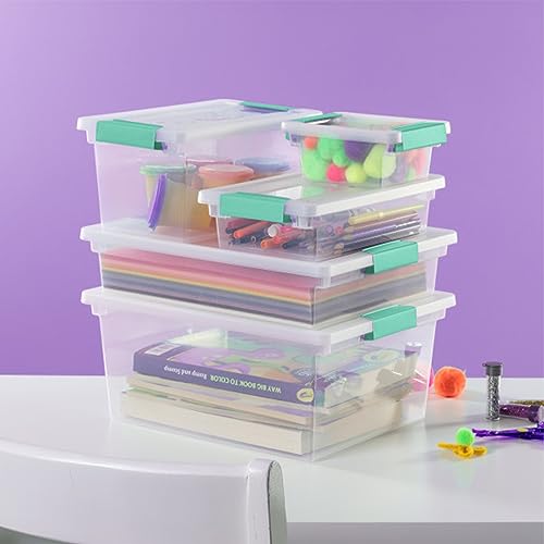 Sterilite Clip Box, Stackable Small Storage Bin with Latching Lid, Plastic Container to Organize Office, Crafts, Clear Base and Lid, Large, 1-Pack - size: Large, style: 1 Pack