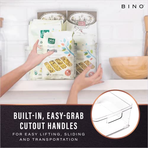 BINO | Plastic Bins, Large - 2 Pack | THE LUCID COLLECTION | Multi-Use| Built-In Handles | BPA-Free | Clear Storage Containers | Fridge Organizer | Pantry & Home Organization - size: 2PK - LARGE