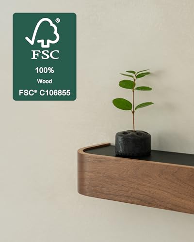 Kazai. Key Holder 'Toke' | Minimalist Key Hook Design from Berlin | Modern Key Holder Wall Mount with Wooden Shelf | Key Rack for Wall as Entryway Organizer | Walnut - color: Walnut, size: 8 Hooks