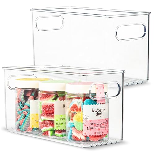 Plastic Food Storage 2 Pack Clear Container Bin with Handles for Organizing Kitchen, Pantry, Refrigerator, Freezer, Pantry, Cabinet, Closet, Bathroom. 10”x4”x5” - size: 10x4x5