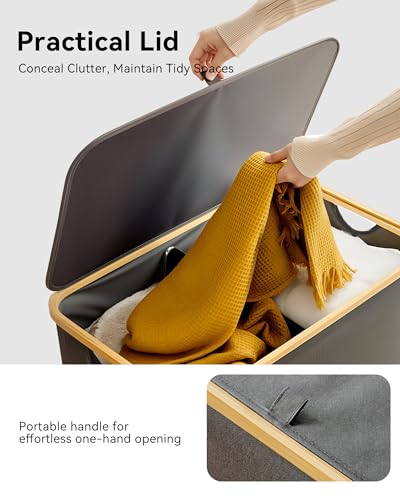 Storage Basket with Lid and Handles, 100L Fabric Bin with Divider for Shelf, Closet, Toy Organization, Collapsible Storage Organizer for Home, Grey - color: Grey, size: 100L