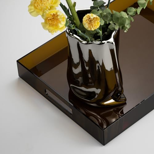 ATZYmolin 16"x12" Large Acrylic Serving Tray Decorative Ottoman Coffee Table Vanity Tray Tea Fruit Platter Snack Appetizer Dessert Drink with Handles for Bar Kitchen Party, Amber - color: Brown - Medium