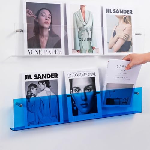 ROYALITA 2-Pack Acrylic Magazine Holder Brochure Holder, 17" Record Holder Magazine Rack, Fashion Hanging Bookshelf Literature Storage Rack for Waiting Room, Living Room, Office, Blue, 17 Inch - color: Blue, size: 17 Inch