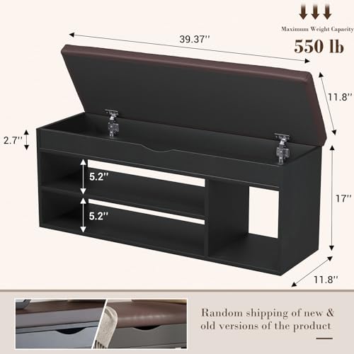 Apicizon 39 Inches Storage Bench with Padded Cushion, Shoe Bench with Storage Space, Upholstered Entryway Bench for Living Room, 2-Tier Shoe Rack Organizer, Black - color: Black, size: 39 Inch