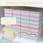 BLU MONACO | Cardboard Magazine File Holder Set of 4 | Vertical Magazine File Holder with Gold Label Slots | Standing File Holder and Cardboard Bins for Shelves Desk Classroom - color: Pastel Stripes