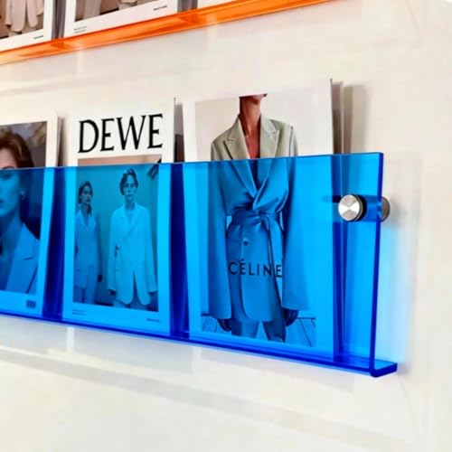 ROYALITA 2-Pack Acrylic Magazine Holder Brochure Holder, 36" Record Holder Magazine Rack, Fashion Hanging Bookshelf Literature Storage Rack for Waiting Room, Living Room, Office - color: Blue, size: 36 Inch