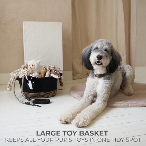 Stylish Cotton Rope Storage Basket For Dog Toys, Magazines or Books - The Perfect Woven Bin with Handles For Everyday Organization Reduces Clutter in Your Rooms - A Decorative Gift & Storage Box - color: Black