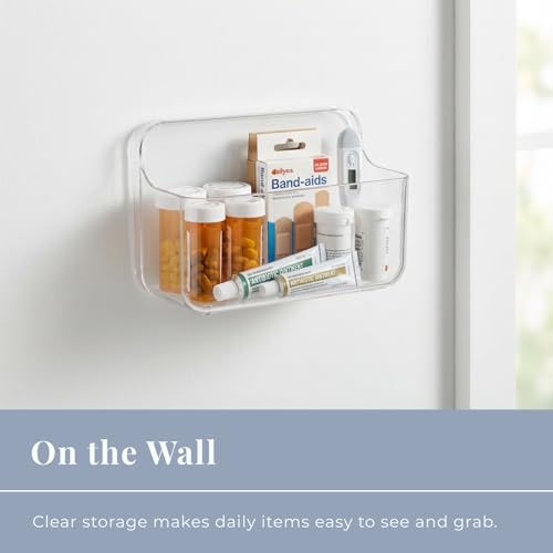 No-Drill Wall Organizer Bin – Clear Removable Adhesive Storage Box with Drain Holes, PET Plastic, Ideal for Small Items in Kitchen, Bathroom, Cabinet Door – Sandra Series - size: Small