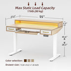 TIQLAB Standing Desk with Two Drawers, Stand Up Standing Desk Adjustable Height, Electric Sit Stand Table with Storage Shelf and Splice Board, with LED Light, 55 * 28 inch, Maple - color: Maple, size: 55*28 inch with keyboard tray
