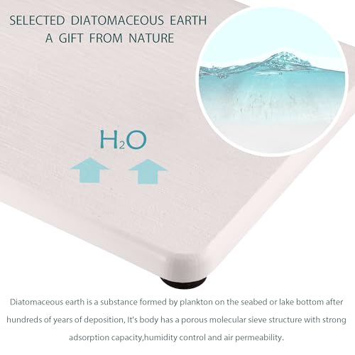 NiuYichee 2 Pcs Water Absorbing Stone Trays, Kitchen/Bathroom Sink Soap Dish, Diatomite Tray Used for Hand Soap & Cosmetic Bottles in The Modern Home, 4" W x 8.3" L, White - color: White, size: 8.3" x 4"