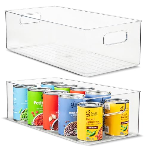 Plastic Food Storage 2 Pack Clear Container Bin with Handles for Organizing Kitchen, Pantry, Refrigerator, Freezer, Pantry, Cabinet, Closet, Bathroom. 16”x8”x5” - size: 16x8x5