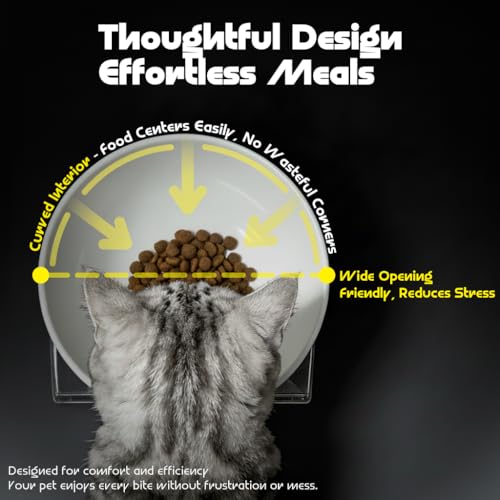 LivLab Mker Raised Cat Bowl, Elevated Cat Food Bowls with Stand - 15° Tilted Shallow Cat Dish for Whisker Fatigue Relief, 4.5" Height for Easy Feeding, Lead & Cadmium Free Melamine Bowl, White - color: White