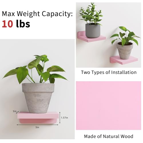 Fixwal Pink Shelves, 5x5 Inches Small Wall Shelf Set of 4, Rustic Wood Floating Wall Mounted Shelves for Bedroom, Living Room, Kitchen, Bathroom Decor (Pink) - color: Pink