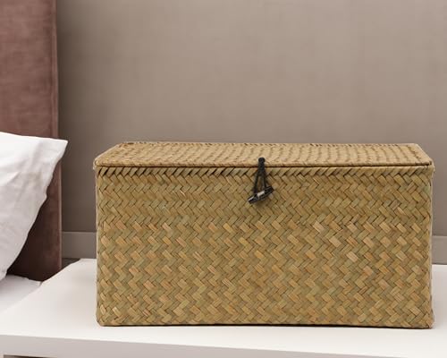 Wicker Basket with Lid, Natural Seagrass Storage Baskets for Organizing, Woven Basket for Storage, Decorative Boxes Bins with Lids Home Organizer Decor (Natural, 14.3" x 9.4" x 6.9") - size: 14.3" x 9.4" x 6.9"