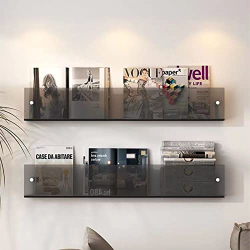 ROYALITA 2-Pack Acrylic Magazine Holder Brochure Holder, 17" Record Holder Magazine Rack, Fashion Hanging Bookshelf Literature Storage Rack for Waiting Room, Living Room, Office, Gray, 17 Inch - color: Grey, size: 17 Inch
