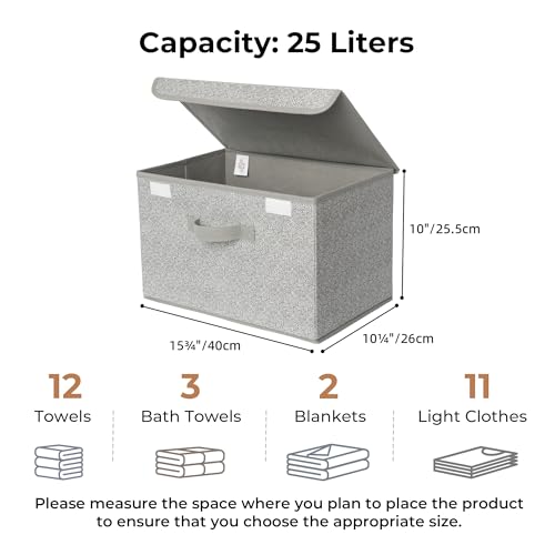 GRANNY SAYS Storage Baskets with Lids, Clothes Storage Boxes, Fabric Storage Bins, Keepsake Box, Closet Organizers and Storage, Gray, 2-Pack - color: Ash Gray, size: Large-2 Pack