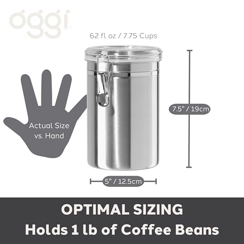 Oggi Stainless Steel Kitchen Canister 62 fl oz - Airtight Clamp Lid, Clear See-Thru Top - Ideal for Kitchen Storage, Food Storage, Pantry Storage. Large Size 5" x 7.5". - color: Stainless Steel, size: 62 Fluid Ounces, style: Airtight Canister